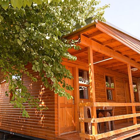 Tolay Hotel Öludeniz Exteriör bild